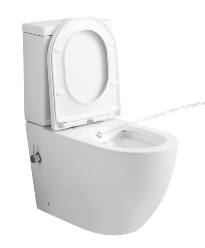 Bidet toilet back to - bidet, cc