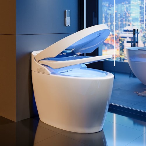 Japanese toilet bidet self - toilet,,