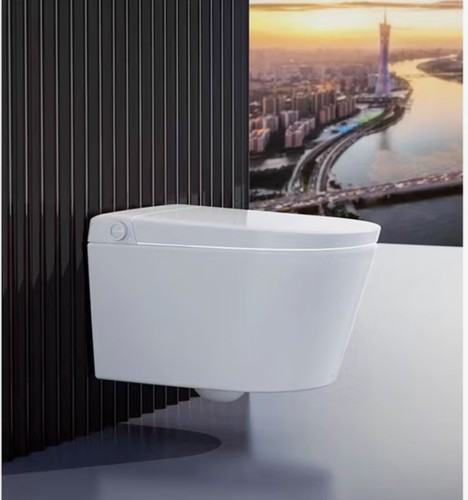 Wall hung japanese smart - hung,